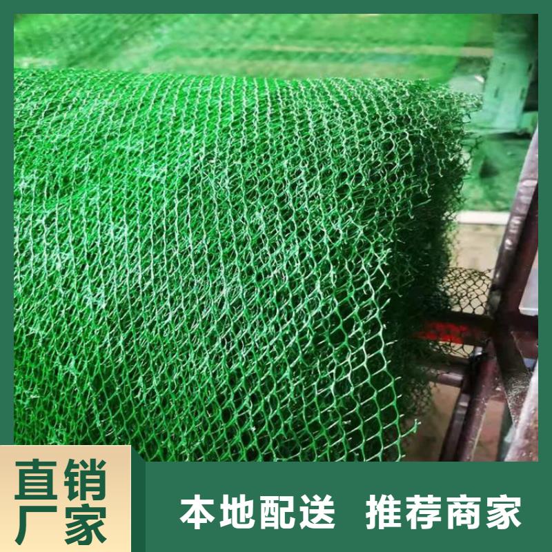 三维植被网-通风降噪丝网销售的是诚信