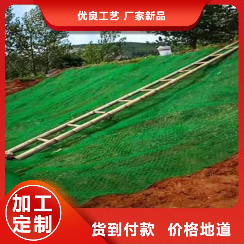 三維植被網廠家資訊-已更新