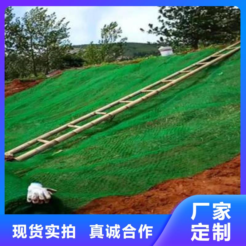 護坡EM4加筋護坡網墊