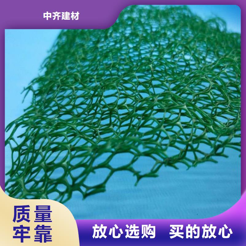 三维植被网-通风降噪丝网销售的是诚信