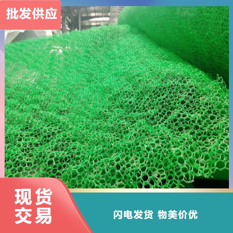 三維加筋植草網墊規格
