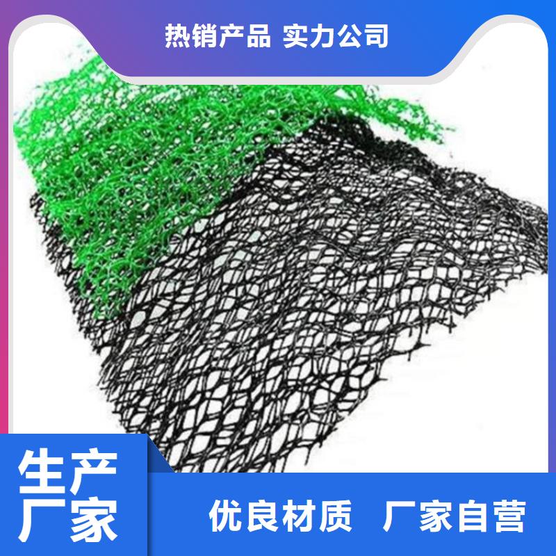 三維護坡植草網墊