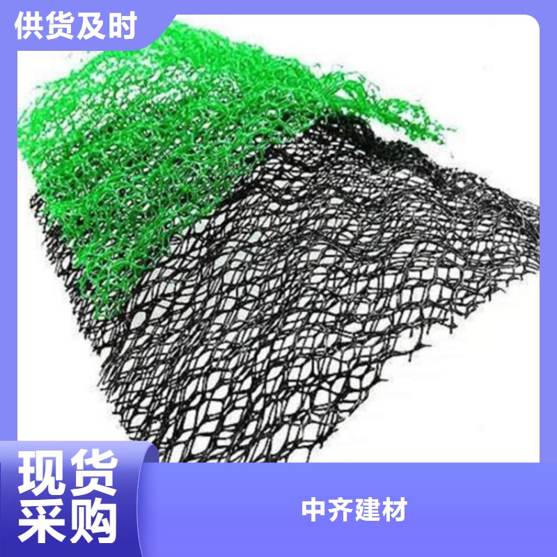 三維護坡植被網墊公司/多少錢一平