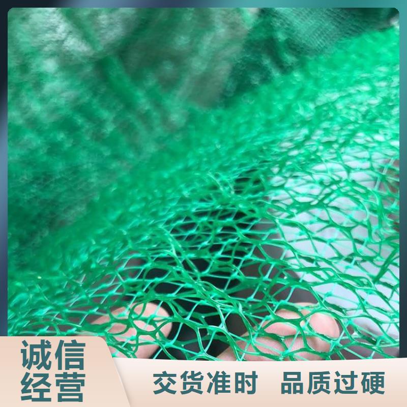 護(hù)坡加筋網(wǎng)墊-EM5三維植被網(wǎng)誠(chéng)實(shí)守信
