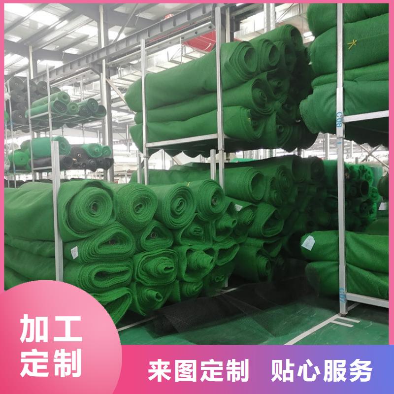 三維植被網(wǎng)-EM2三維植被網(wǎng)可定做