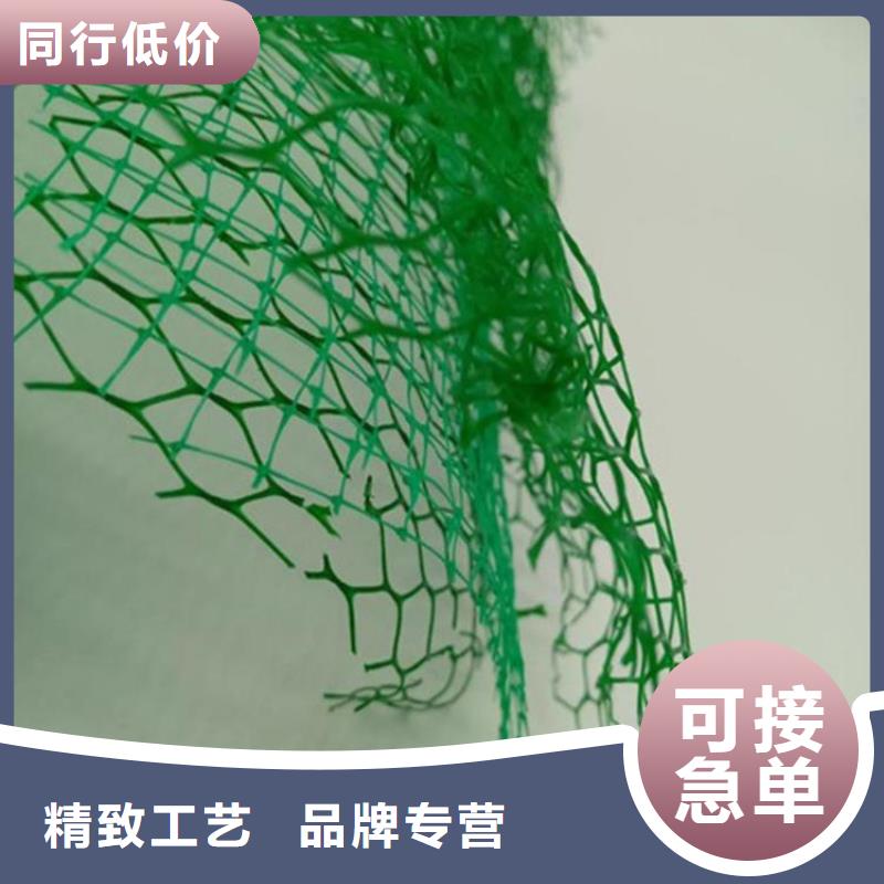 三維固土網(wǎng)墊多種規(guī)格