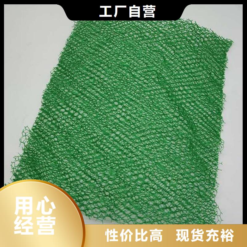三維加筋土工網墊公司-歡迎您