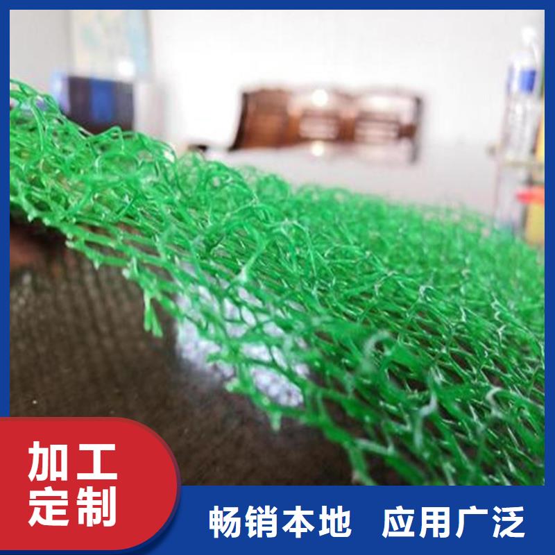 三維土工網墊-EM3三維土工網墊