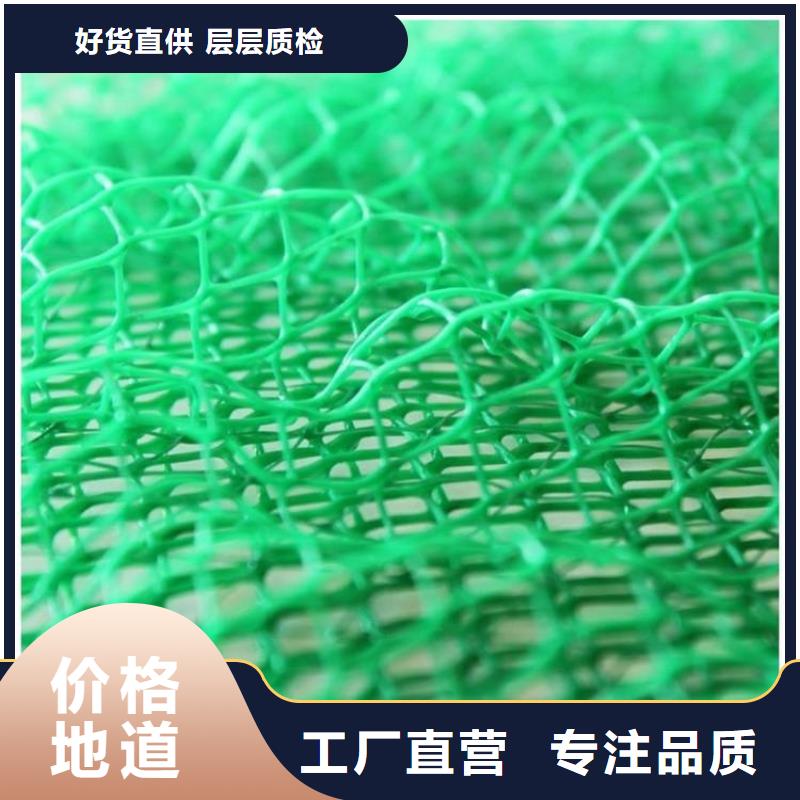 EM2邊坡三維固土網(wǎng)墊