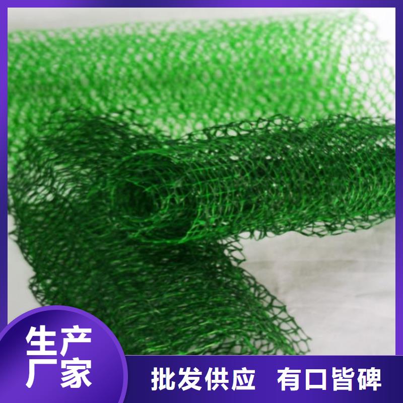 三維植被網(wǎng)-EM2三維植被網(wǎng)可定做