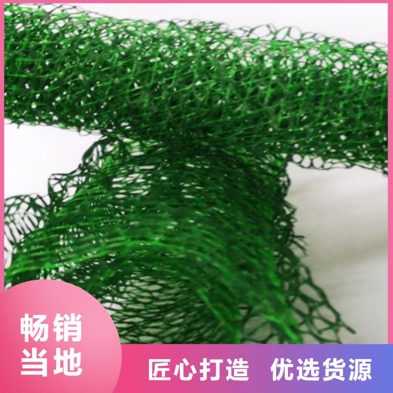 三維護坡植被網(wǎng)墊經(jīng)銷批發(fā)/多少錢一平