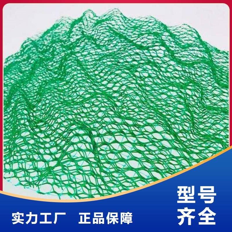 三維護坡植被網墊公司/多少錢一平