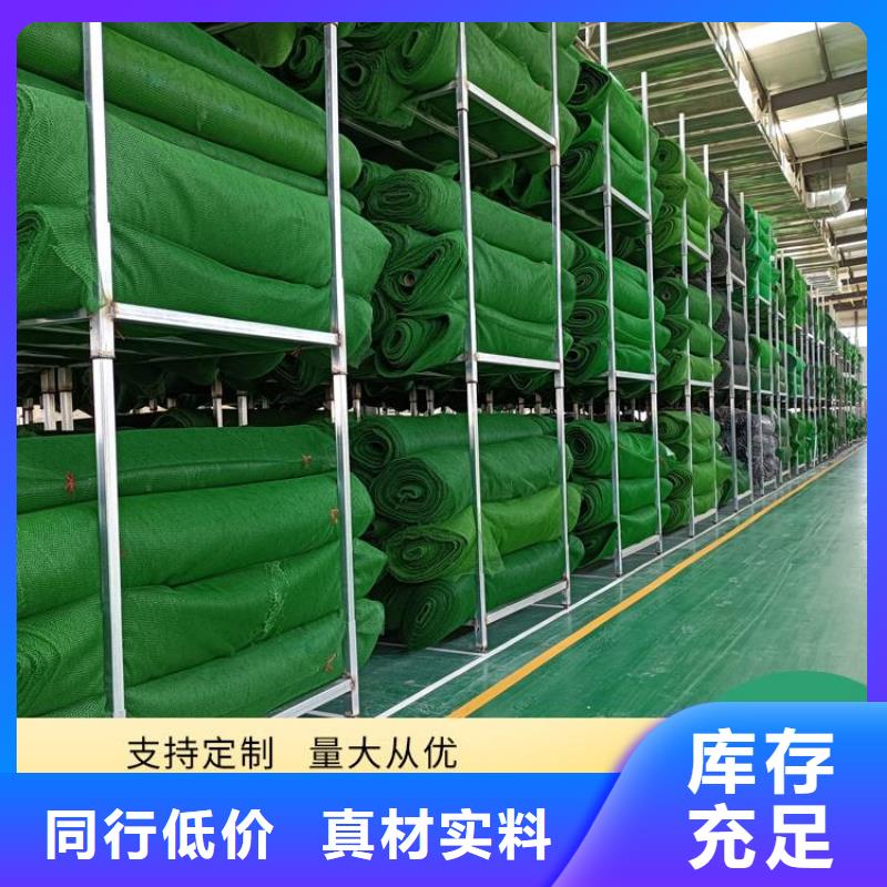 三维植被网-通风降噪丝网销售的是诚信