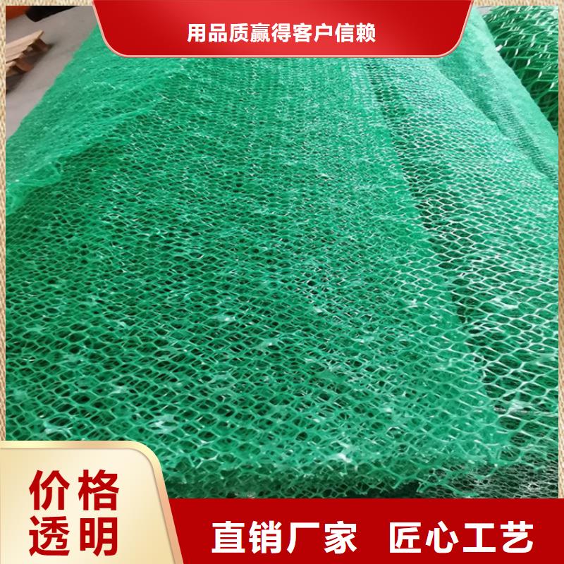 三維加筋土工網墊公司-歡迎您