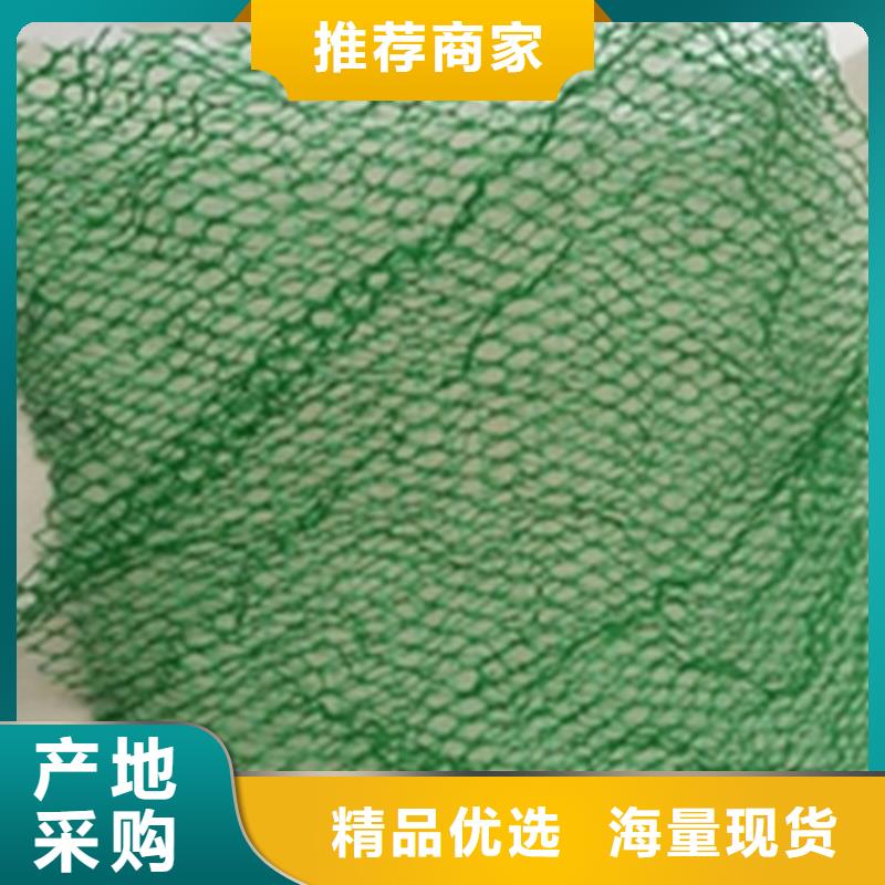 三維加筋植草網墊規格