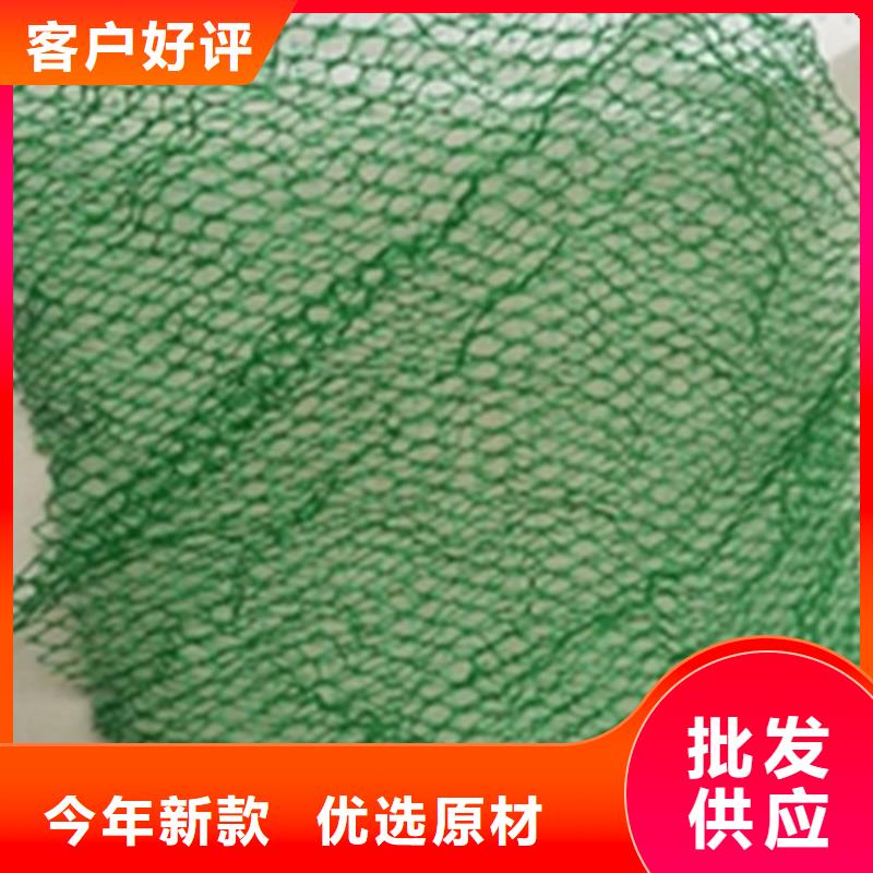 三維護坡植草網墊