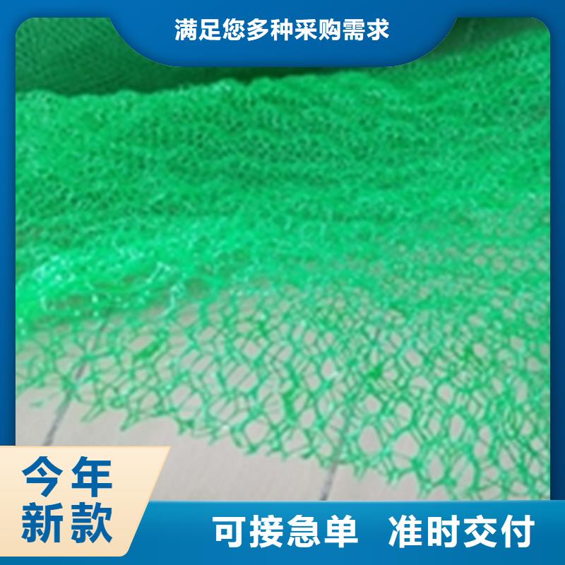 護(hù)坡加筋網(wǎng)墊-EM5三維植被網(wǎng)誠(chéng)實(shí)守信