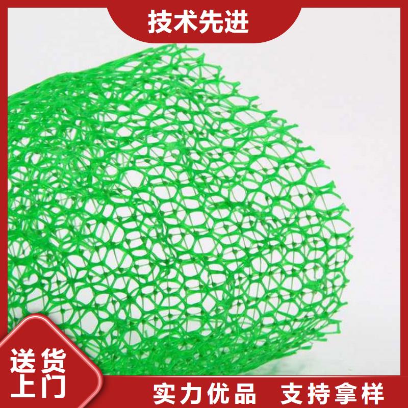 三維護坡植草網墊產品動態
