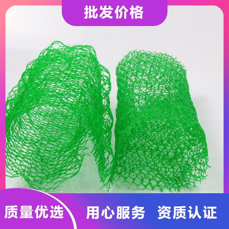 三維護坡植草網墊