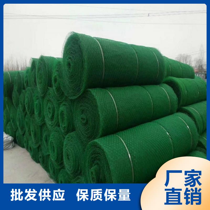 三維土工網墊工廠直銷