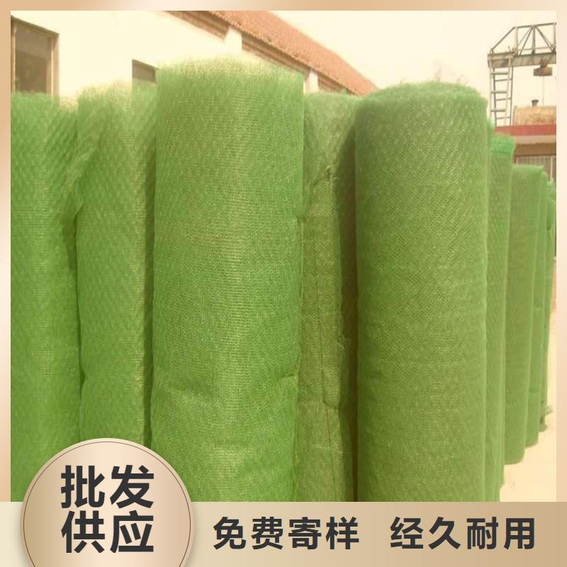 EM2邊坡三維固土網(wǎng)墊