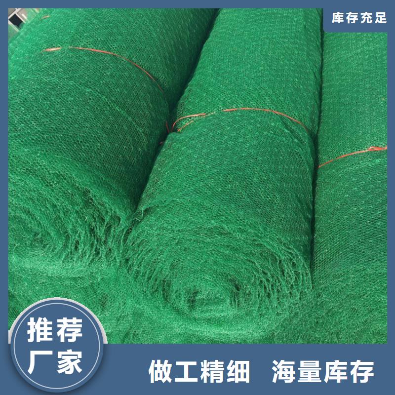 環保護坡三維護坡植被網墊
