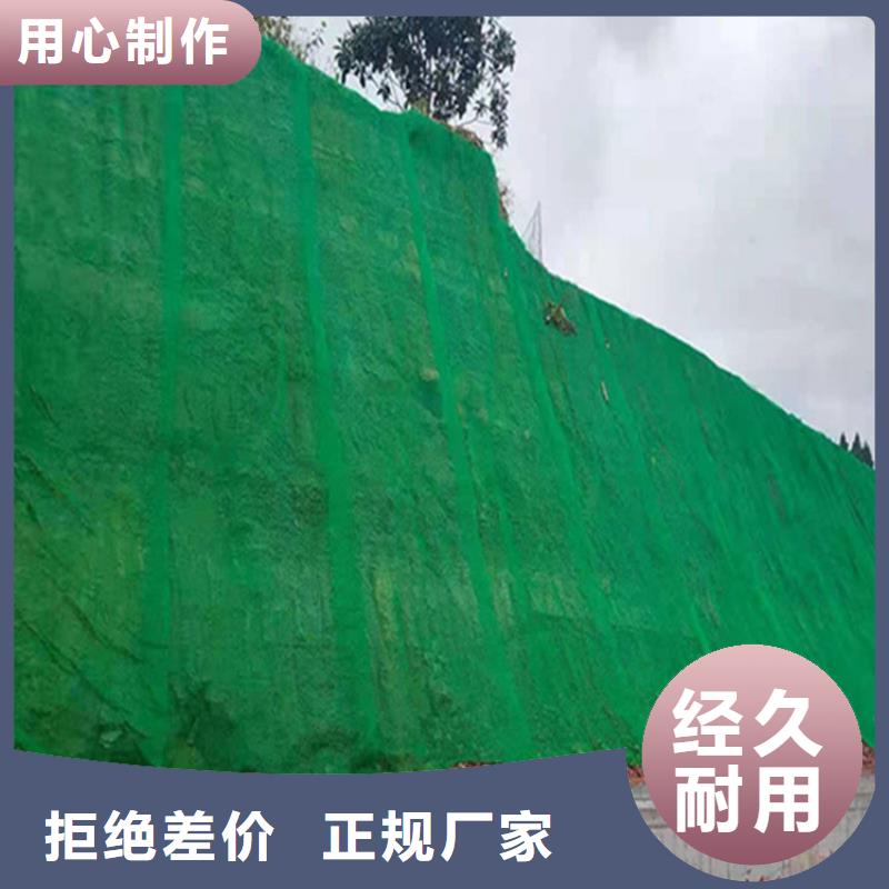 三維土工網墊工廠直銷