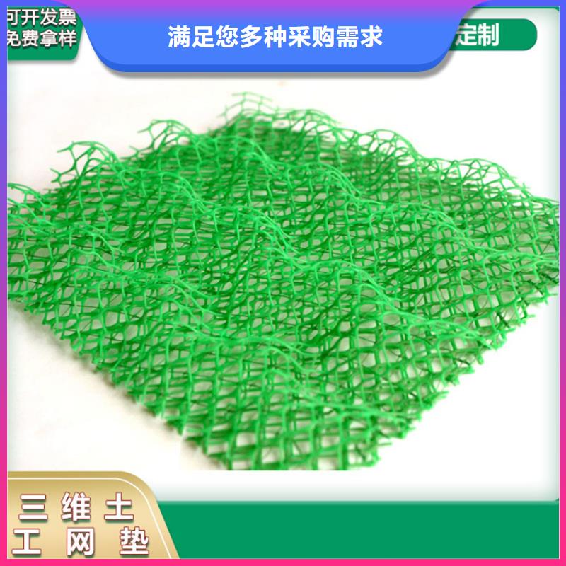 三維土工網墊-EM3三維土工網墊