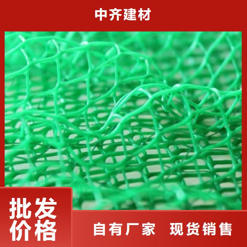 EM2邊坡三維固土網(wǎng)墊