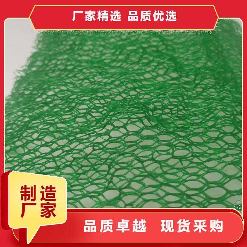 三維加筋植草網墊規格