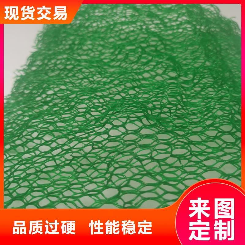 環保護坡三維護坡植被網墊