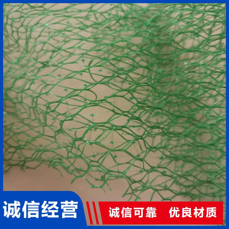 護坡加筋網(wǎng)墊-加筋三維植被網(wǎng)