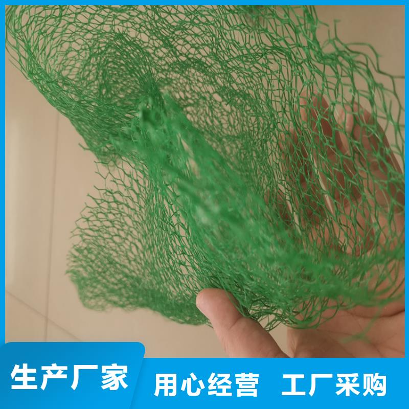 EM2邊坡三維固土網(wǎng)墊