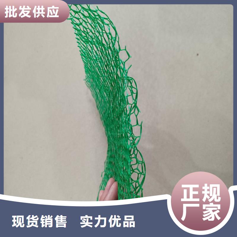 三維加筋土工網墊安裝