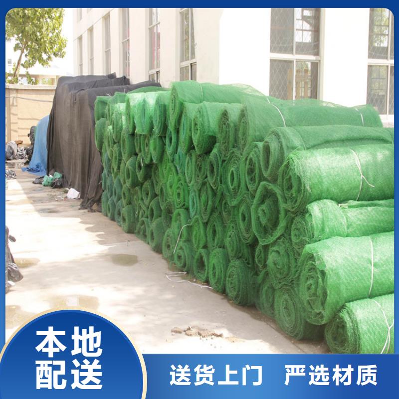 三維護坡植被網(wǎng)墊經(jīng)銷批發(fā)/多少錢一平