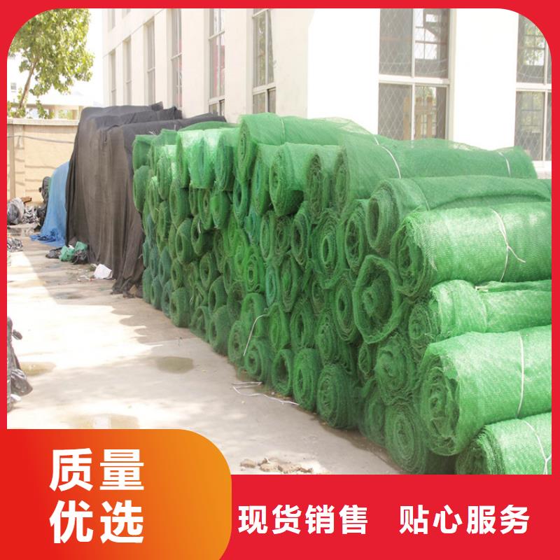 三維護坡植草網墊