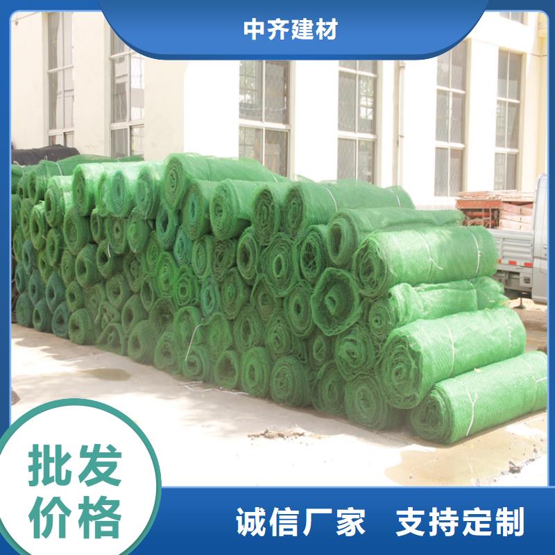 三維固土網(wǎng)墊多種規(guī)格