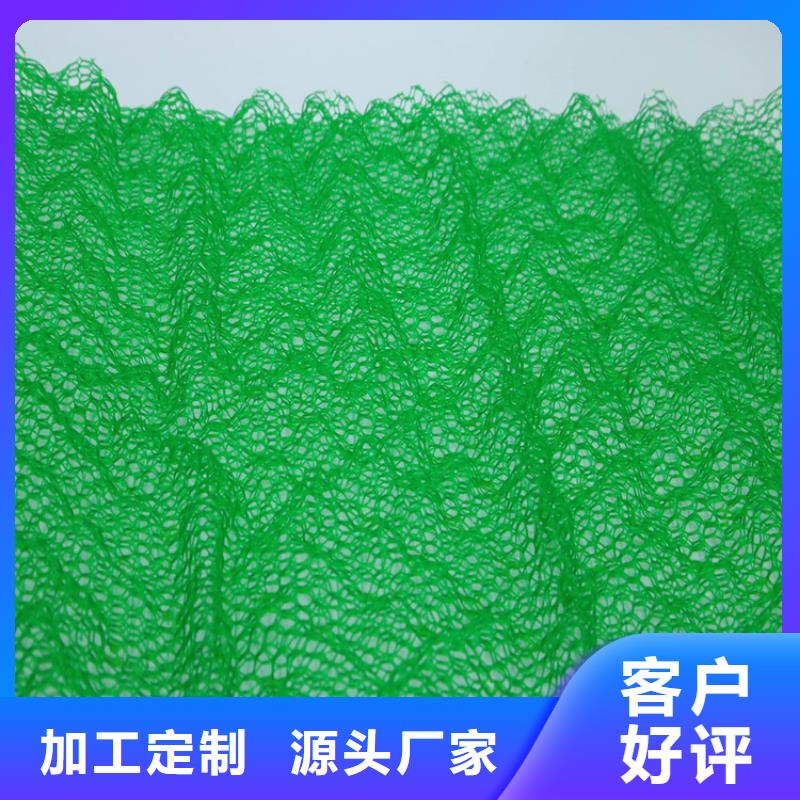 三維植被網#邊坡EM5