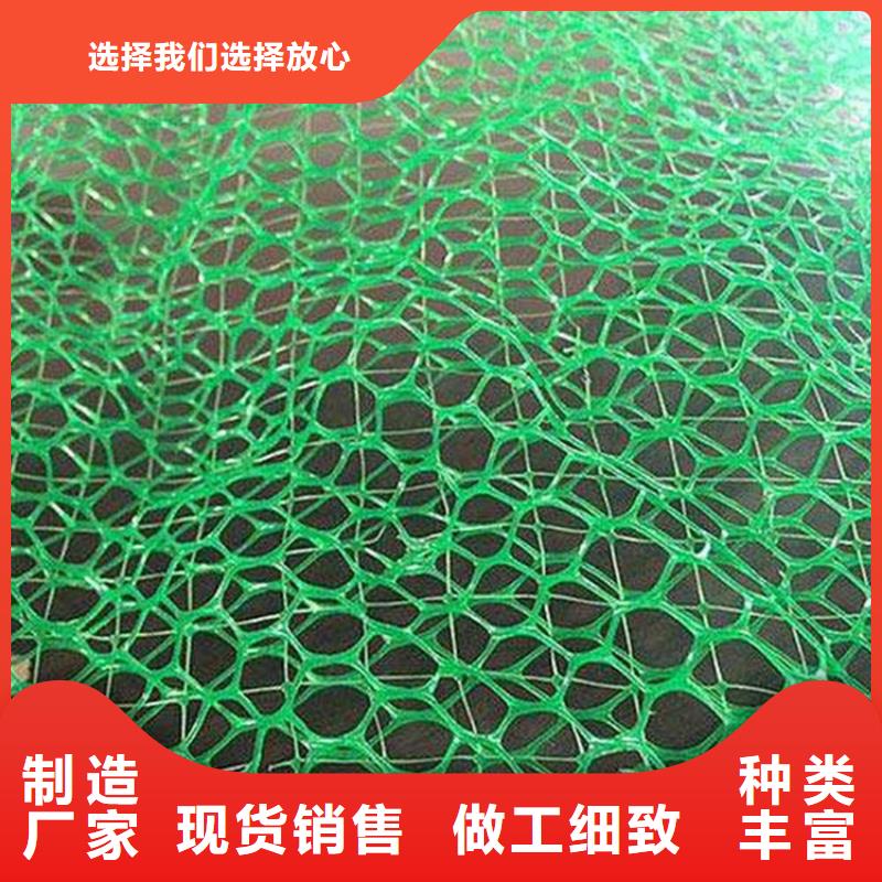 三維加筋植草網墊規格