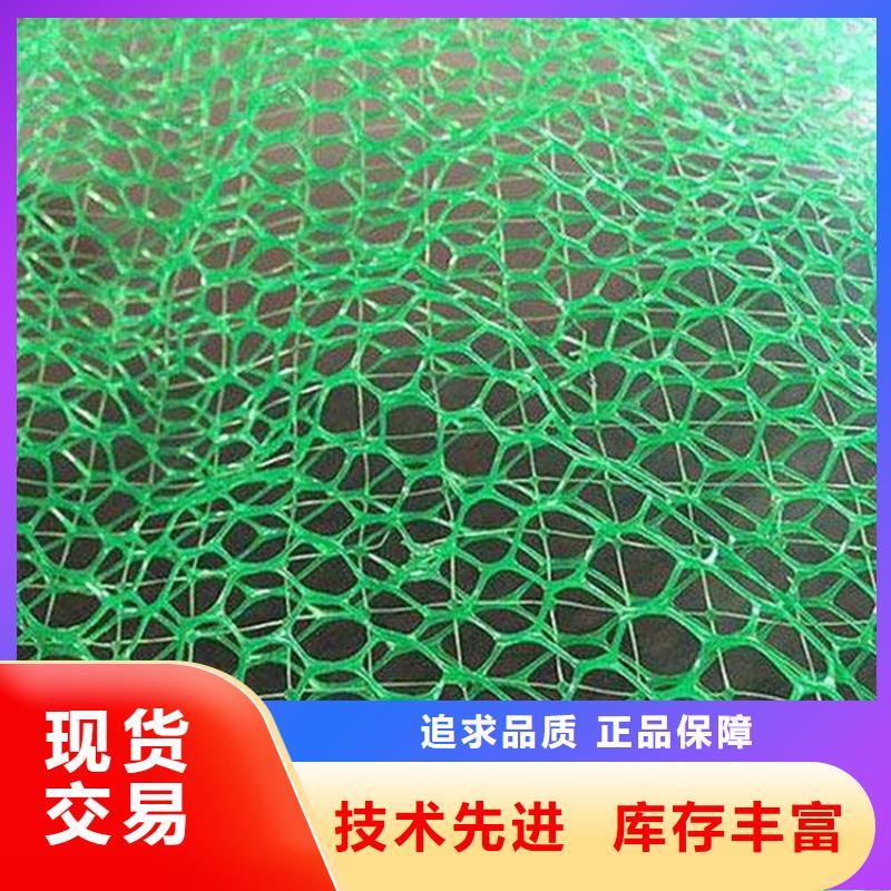 三維土工網墊工廠直銷