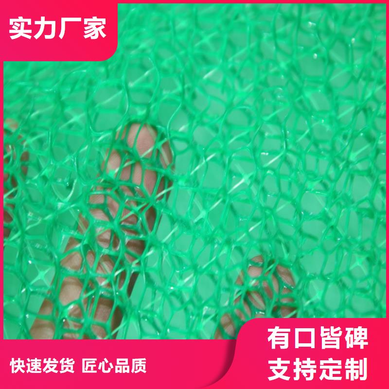 三维植被网-通风降噪丝网销售的是诚信