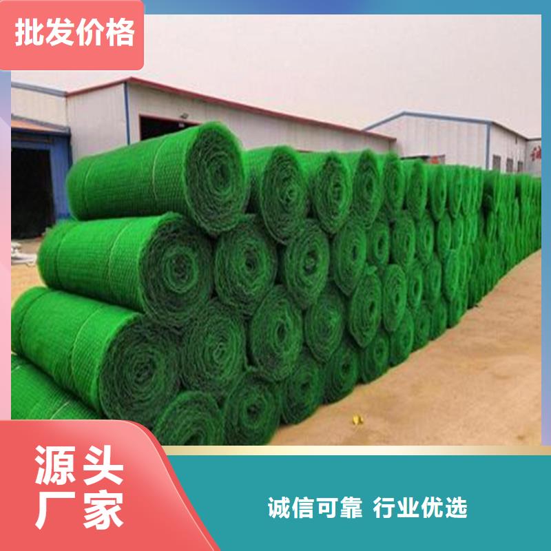 三維植被網(wǎng)波紋管常年出售