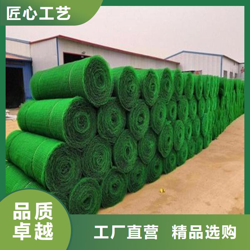 三維植被網防滲膜廠家直銷直供