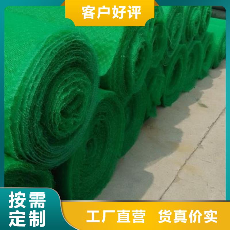 三維植被網(wǎng)_雙向土工格柵應用廣泛