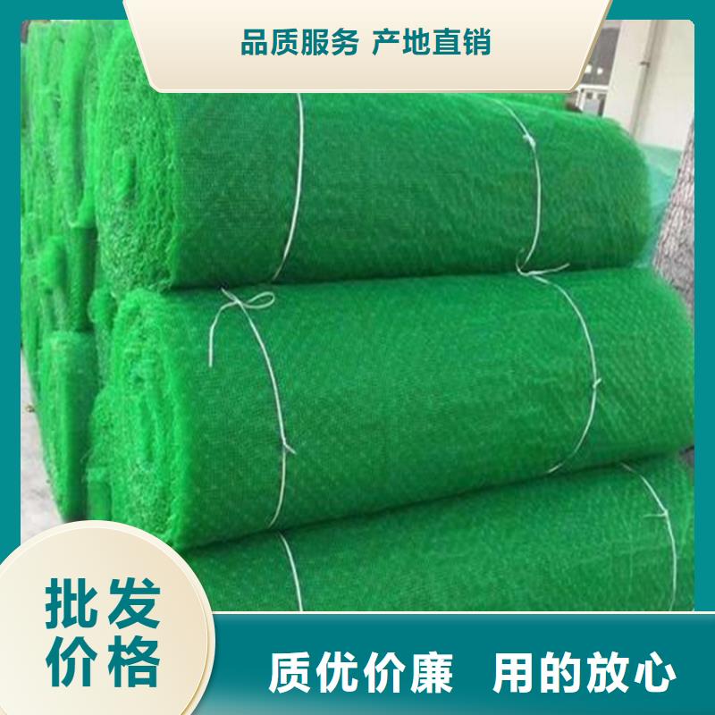 三維植被網(wǎng)波紋管常年出售
