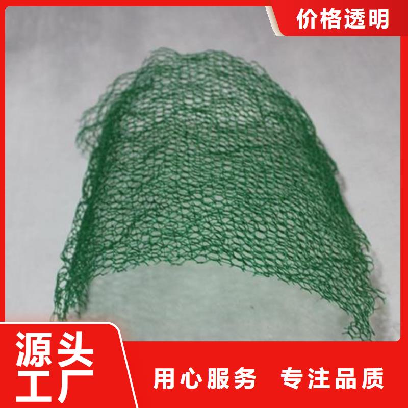 三維植被網(wǎng)_雙向土工格柵應用廣泛