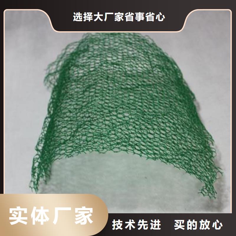 三維植被網防滲膜廠家直銷直供