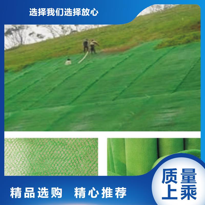 三維植被網(wǎng)波紋管常年出售