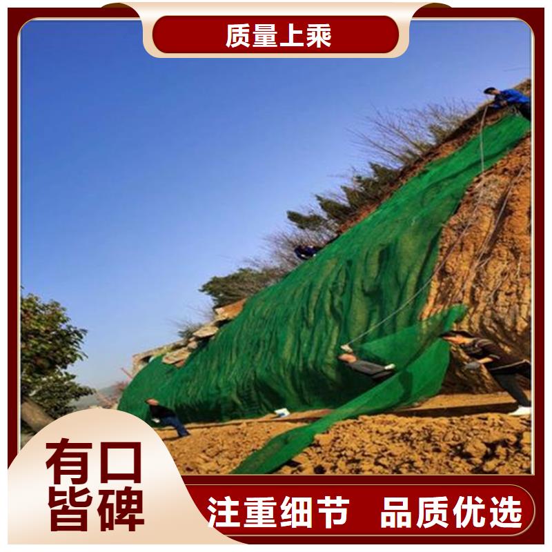 三維植被網(wǎng)波紋管常年出售