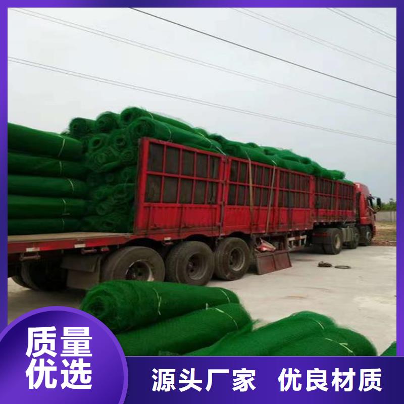 三維植被網(wǎng)_雙向土工格柵應用廣泛